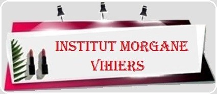 logo-institut-morgane-vihiers-fond-gris-1 POS-rvb-groupeEcho